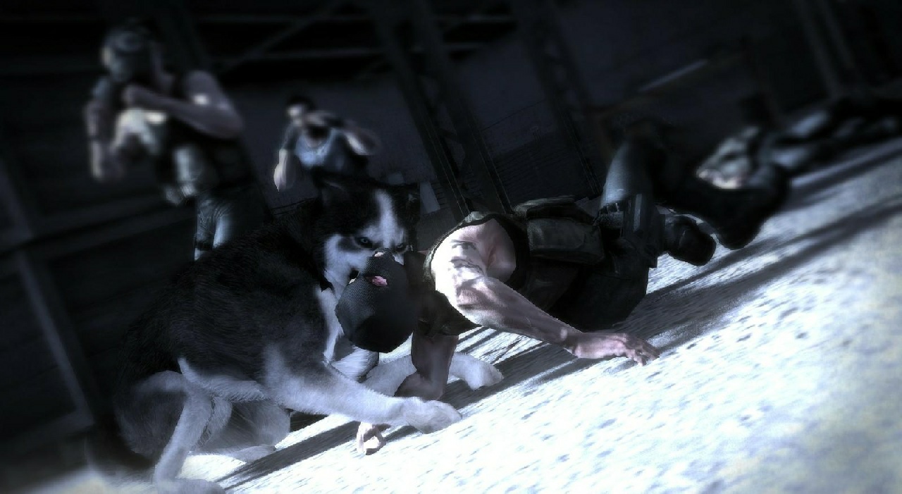 Dead to Rights: Retribution - Imagen 33